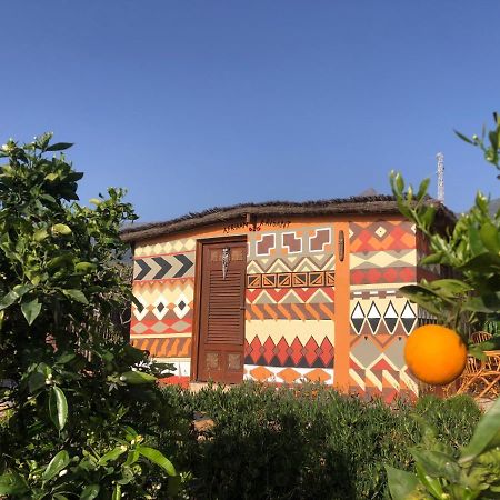 Afrikan Krisant Tenerife, Casa Rural Ecologica Arafo Esterno foto