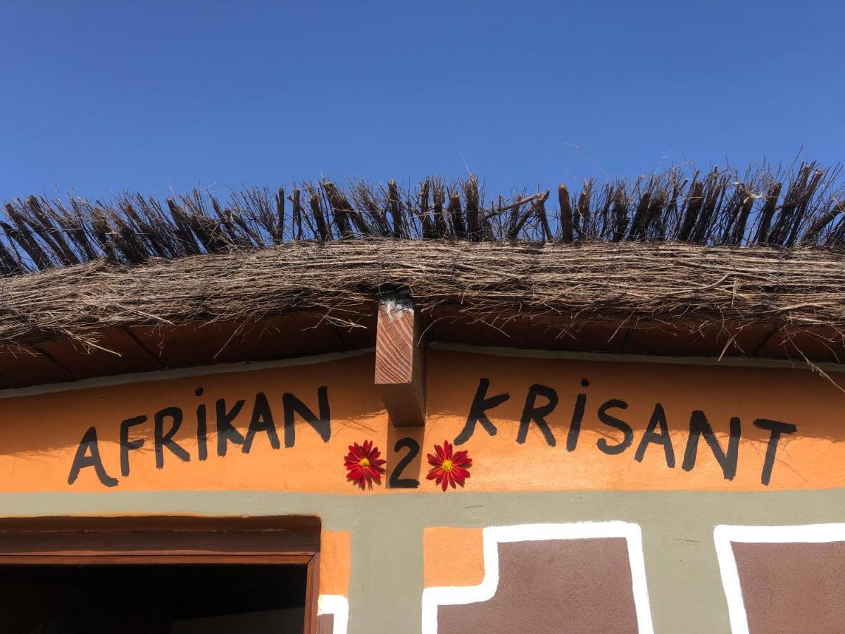 Afrikan Krisant Tenerife, Casa Rural Ecologica Arafo Esterno foto