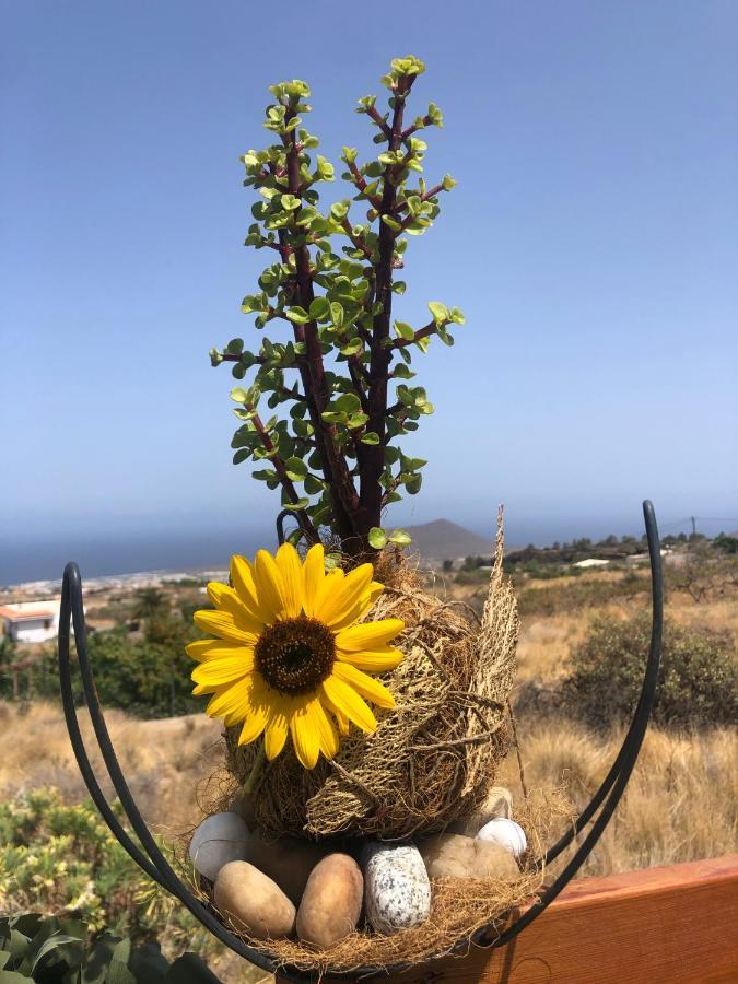 Afrikan Krisant Tenerife, Casa Rural Ecologica Arafo Esterno foto