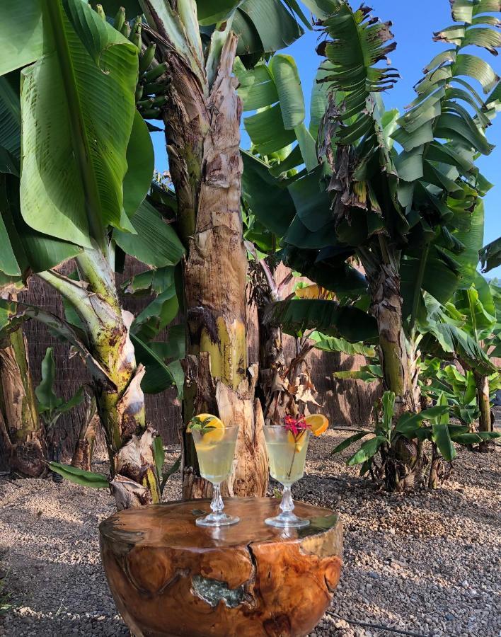 Afrikan Krisant Tenerife, Casa Rural Ecologica Arafo Esterno foto