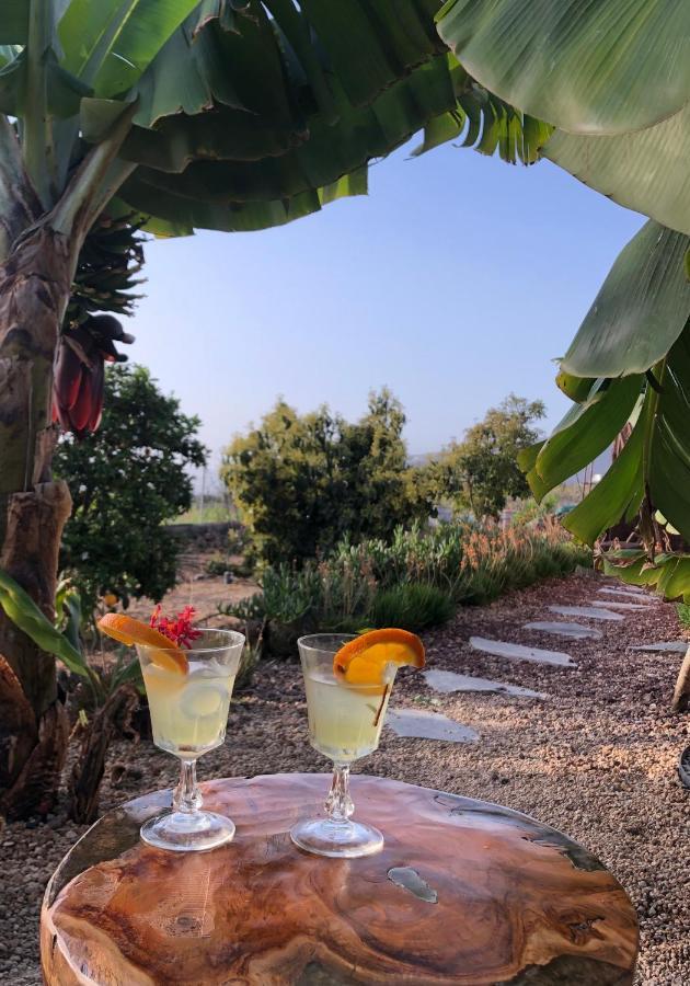 Afrikan Krisant Tenerife, Casa Rural Ecologica Arafo Esterno foto