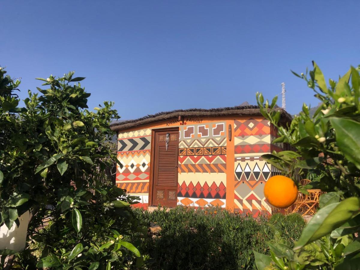 Afrikan Krisant Tenerife, Casa Rural Ecologica Arafo Esterno foto