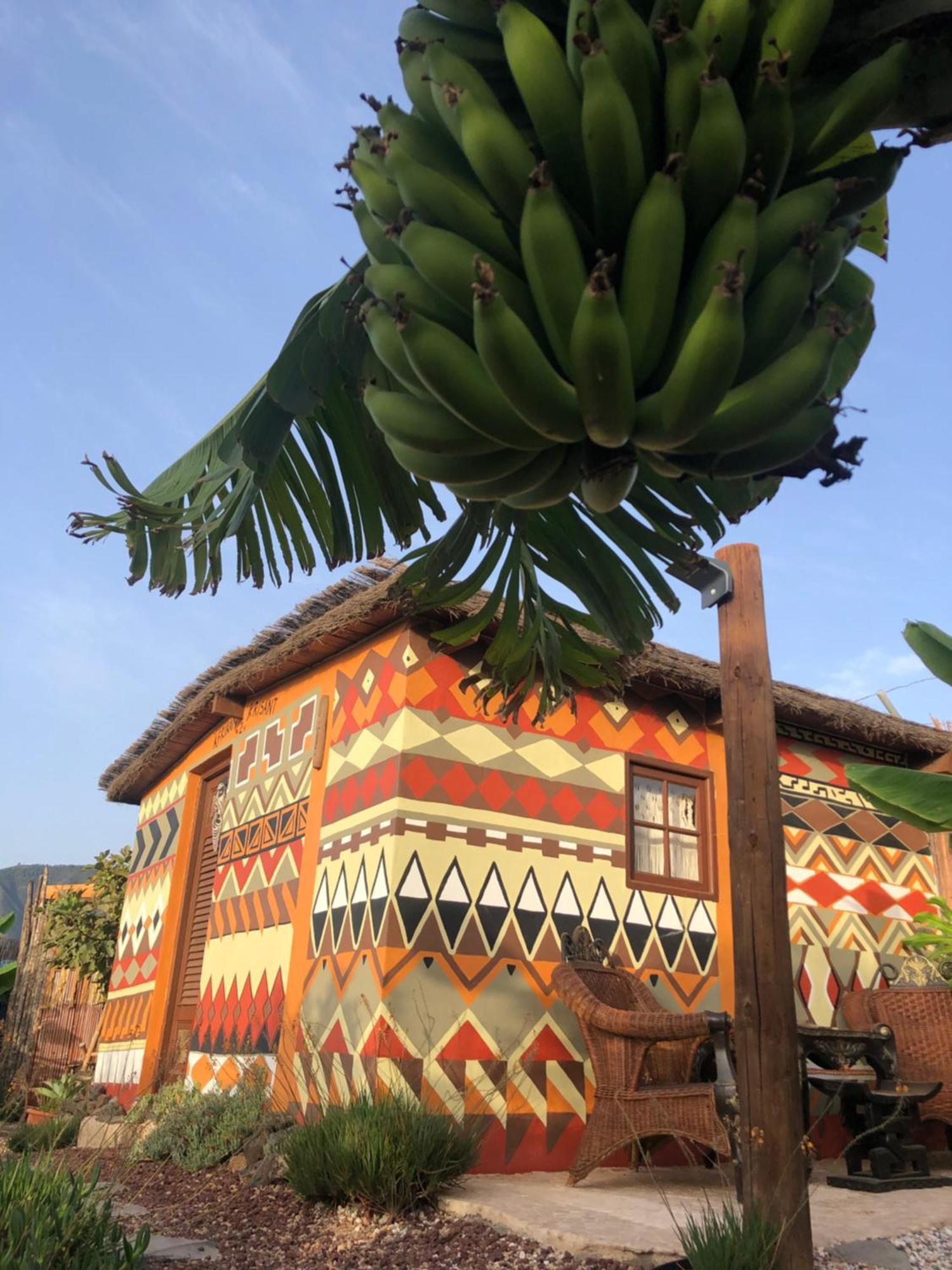 Afrikan Krisant Tenerife, Casa Rural Ecologica Arafo Esterno foto