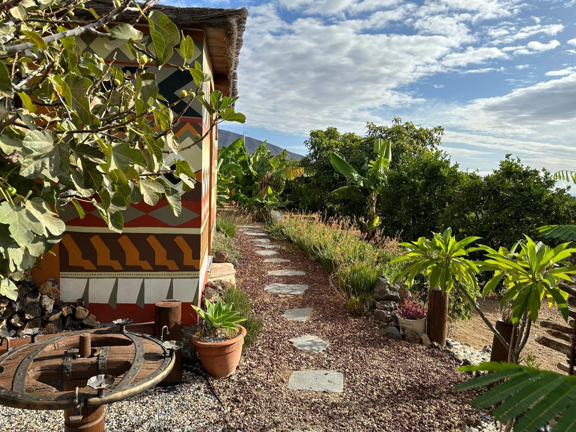 Afrikan Krisant Tenerife, Casa Rural Ecologica Arafo Esterno foto